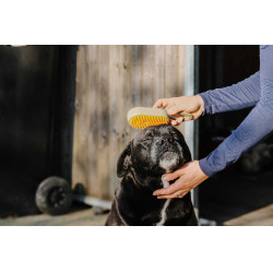 Striegel mit Griff Hippotonic Vapeur Maulwurf Braun Striegel mit Griff Hippotonic Vapeur Maulwurf Braun