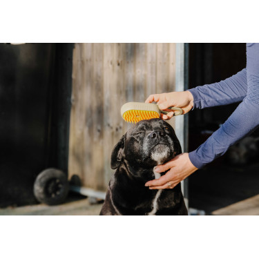 Striegel mit Griff Hippotonic Vapeur Maulwurf Braun Striegel mit Griff Hippotonic Vapeur Maulwurf Braun