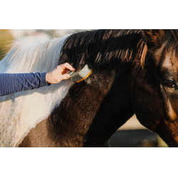 Striegel mit Griff Hippotonic Vapeur Maulwurf Braun Striegel mit Griff Hippotonic Vapeur Maulwurf Braun