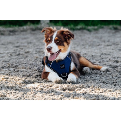 Hundegeschirr RIDING WORLD – Simba Marine Marineblau