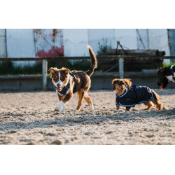 Hundegeschirr RIDING WORLD – Simba Marine Marineblau