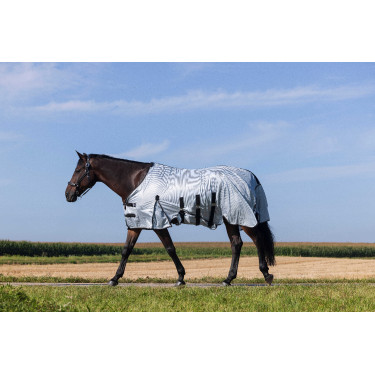 Reitshirt Riding World Belly Mesh Grau