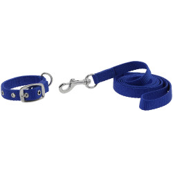 Halsband und Leine für Hunde Riding World Oscar Königsblau