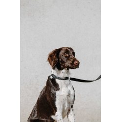 Equithème-Hundehalsband Nala Schwarz