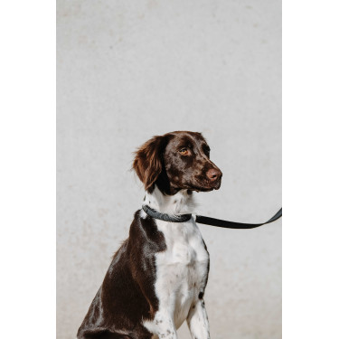 Equithème-Hundehalsband Nala Schwarz