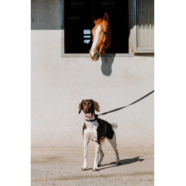 Equithème-Hundehalsband Nala Schwarz