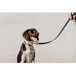 Equithème-Hundehalsband Nala Schwarz