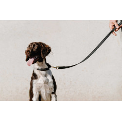 Equithème-Hundehalsband Nala Schwarz
