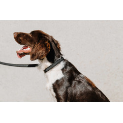 Equithème-Hundehalsband Nala Schwarz