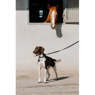 Equithème-Hundehalsband Nala Schwarz