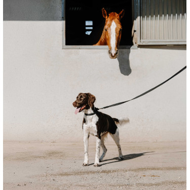 Equithème-Hundehalsband Nala Schwarz