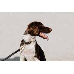 Equithème-Hundehalsband Nala Schwarz