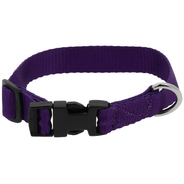 Hundehalsband Riding World Pat Violett Lila