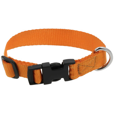 Hundehalsband Riding World Pat Orange