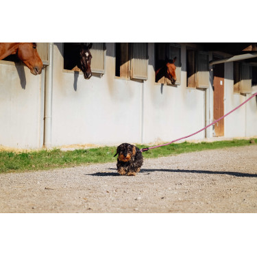 Hundeleine mit Griff RIDING WORLD - Lucky Altrosa