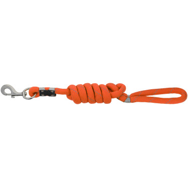EQUITHÈME-Hundeleine – Rio Orange