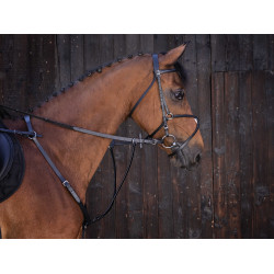Martingal mit Ringen Riding World Schwarz Martingal mit Ringen Riding World Schwarz