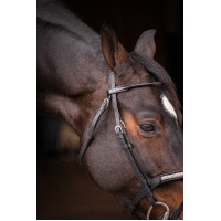 Trensenzaum Pénélope Symphonie Schwarz