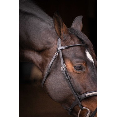 Trensenzaum Pénélope Symphonie Schwarz