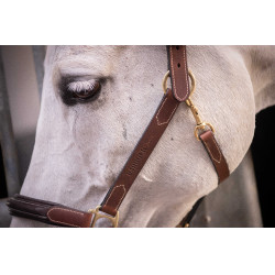 Lederhalfter mit 3 Karabinern Paddock Sports Havanna Braun