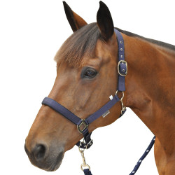 Nylonhalfter Canter, gefüttert Nylonhalfter Canter, gefüttert