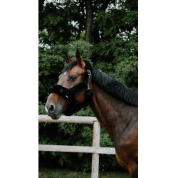 Halfter Je t'aime Equithème Snuggy Schwarz