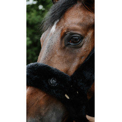 Halfter Je t'aime Equithème Snuggy Schwarz