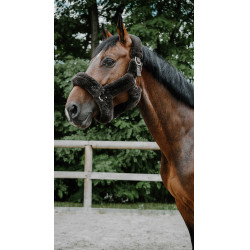 Halfter Je t'aime Equithème Snuggy Braun