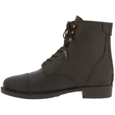 Stiefeletten Norton Nîmes mit Reißverschluss + Schnürung Braun