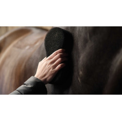 Lami-Cell Shine Scheuerschwamm Schwarz