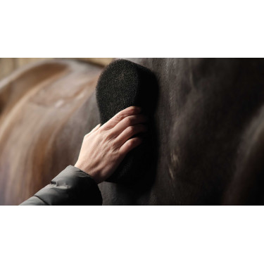 Lami-Cell Shine Scheuerschwamm Schwarz