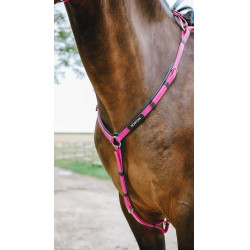 Brustblatt Endurance Norton Pop Pink Rosa