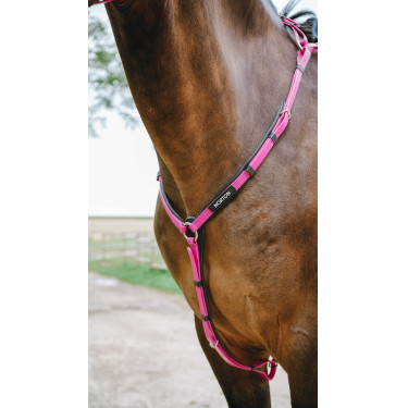 Brustblatt Endurance Norton Pop Pink Rosa