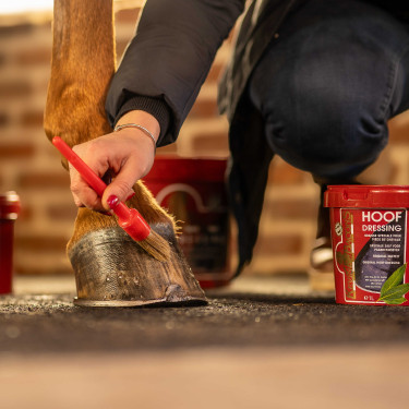 Kevin Bacon's Hoof Dressing Winter Hufschmiere