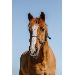 Knotenhalfter Norton Glim Marine / Silber Blau