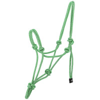 Knotenhalfter Norton Glim Hellgrün / Silber