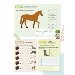 Mein Arbeitsheft Lavauzelle Niveau CP Mein Arbeitsheft Lavauzelle Niveau CP