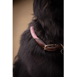 Halsband für Hunde Penelope Billie Rose / Lurex Rosa
