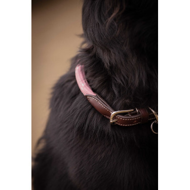 Halsband für Hunde Penelope Billie Rose / Lurex Rosa