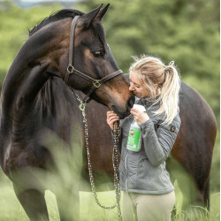 Bremsenlotion gegen Bremsen Bremsenlotion gegen Bremsen