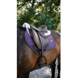 Tapis Pro Series Combo master Pflaume Lila