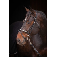 Trensenzaum Pénélope Symphonie Schwarz