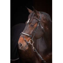 Trensenzaum Pénélope Symphonie Schwarz