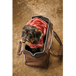 Putzzeug-Trolley Equithème Braun