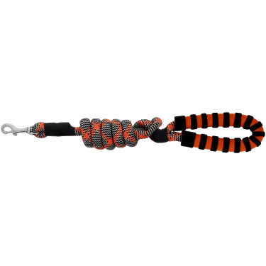Hundeleine mit Griff EQUITHÈME – Haspen Schwarz / orangener Griff