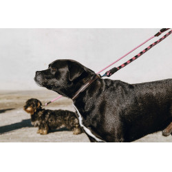 Hundeleine mit Griff EQUITHÈME – Haspen Schwarz / Himbeergriff