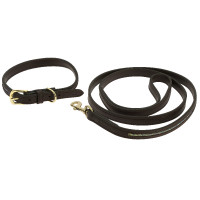 Equithème Max Hundehalsband und Leine