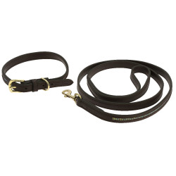 Equithème Max Hundehalsband und Leine Braun