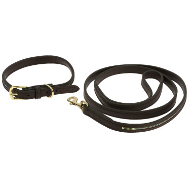 Equithème Max Hundehalsband und Leine Braun