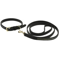 Equithème Max Hundehalsband und Leine Schwarz